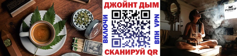 Купить закладки  Вязники  Cannafood конопля 