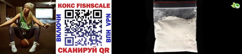 Cocaine FishScale  Купить закладки  Вязники 