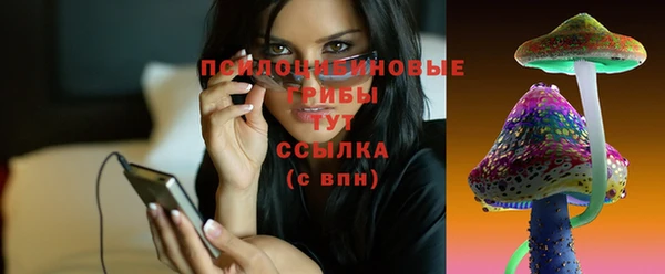 прущая мука Богданович