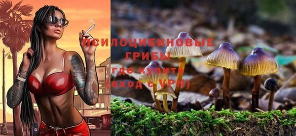 Альфа ПВП Богородск