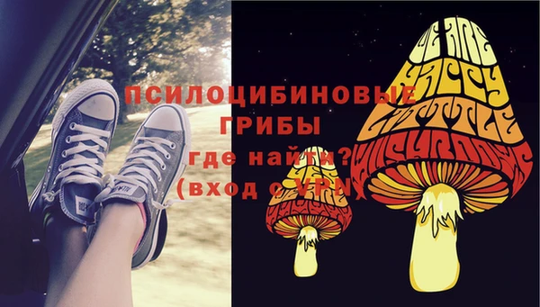 Альфа ПВП Богородск